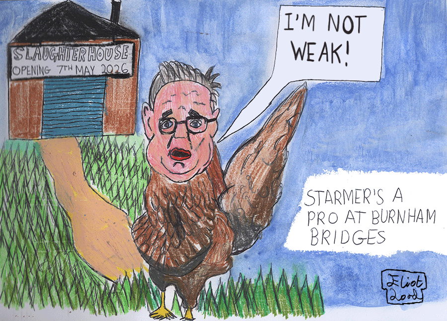 A cartoon of Keir Starmer as a chicken at the slaughterhouse saying I'm not weak, with the caption Starmer's a pro at Burnham Bridges.